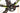 BH G6 Pro 2016 - Shimano Dura-Ace - Zipp