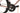 Specialized Tarmac SL8 Expert 2023 - Shimano Ultegra Di2 2x12sp - Roval C38
