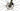 Ridley Kanzo Adventure Carbon 2024 - Shimano GRX - DT Swiss G1800