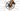 Ridley Astr RS 2025 - SRAM Force AXS 2x12sp - DT Swiss GRC1600