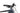 Bulls Copperhead EVO 2 29 2024 - Shimano Deore - Aluminium 29"