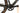 Specialized Diverge Comp Carbon 2023 - SRAM Rival - DT Swiss G540