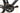 Focus Cayo 2021 - SRAM Force 2x12sp - Aluminium
