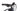 Conway Xyron S 3.9 2024 - SRAM SX 1x12sp - Black Jack Ready