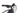 Conway Xyron S 3.9 2024 - SRAM SX 1x12sp - Black Jack Ready