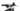 Bianchi e-Vertic FX Type Pro 2025 - SRAM GX - Aluminium