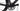 Specialized Venge S-Works 2021 - Shimano Dura-Ace Di2 2x11sp - Hunt
