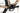 BH iGravelX Carbon 2.7 2024 - Shimano GRX - Vision Team RGX i23