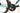 Bianchi Specialissima COMP 2025 - Shimano Ultegra Di2 2x12sp - Velomann Palladium 33mm