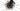 Trek Emonda SL 5 2021 - SRAM Force AXS 2x12sp - Black Inc THIRTY