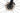 Trek Emonda SL 5 2021 - SRAM Force AXS 2x12sp - Black Inc THIRTY
