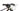 Orbea Oiz M30 2023 - SRAM GX - Oquo MP28 Pro