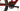 BH iLynx Race Carbon 7.7 2022 - Shimano XT - RaceFace AR30