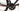 Argon 18 Krypton GF 2021 - SRAM Force AXS 2x12sp - Vision Team 35