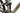Stevens E-Maverick AM 7.4.3 2025 - Shimano XT - DT Swiss HX1700