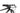 Specialized Epic Hardtail 2022 - SRAM NX - Aluminium