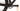 Scott Scale 910 GX AXS 2023 - SRAM GX AXS 1x12sp - Syncros X30 SE