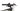 Bergamont E-Revox Sport 2024 - Shimano Deore - Aluminium