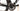 Factor Ostro VAM 2023 - SRAM Red AXS 2x12sp - Carbon