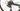 Guerciotti E740 2025 - Shimano Ultegra - Gurpil Infinite