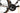 Trek Emonda SL 6 2023 - Shimano 105 Di2 2x12sp - Bontrager Aeolus Elite 35