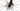 Ridley X-Night RS 2025 - Shimano Dura-Ace Di2 2x12sp - DT Swiss ER 1600 Spline