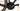 Ridley Kanzo Adventure 2024 - SRAM XX1 AXS 1x12sp - Oquo RC25 Pro