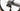 Scott Foil 2025 - Shimano Dura-Ace Di2 2x12sp - Syncros Capital 1.0