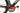 Pinarello FP Uno Carbon 2012 - Shimano 105 - Rothar Vento 38