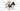 Giant Defy Advanced Pro 1 2024 - SRAM Rival AXS 2x12sp - Giant SLR