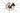 Giant Defy Advanced Pro 1 2024 - SRAM Rival AXS 2x12sp - Giant SLR