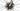 Specialized S-Works Tarmac SL6 2021 - SRAM Red AXS 2x12sp - Mavic Ksyrium Pro