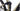 Besv TRS 1.5 2024 - Shimano Deore - WTB ST i30
