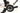 Giant Defy Advanced Pro 1 2024 - SRAM Rival AXS 2x12sp - Giant SLR