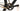 Cannondale Topstone 2024 - SRAM Apex - DT Swiss G450