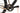 Cannondale Topstone 2024 - SRAM Apex - DT Swiss G450