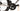 Orbea Orca M10iLTD 2025 - Shimano Dura-Ace Di2 2x12sp - Oquo RP57 LTD