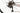 Wilier GTR Team Disc 2021 - Shimano Ultegra 2x11sp - Shimano RS171