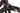 Trek Emonda SL 2019 - Shimano Ultegra Di2 2x11sp - Giant SLR 1