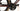 Orbea Orca Aero M10iLTD 2025 - Shimano Dura-Ace Di2 2x12sp - Oquo RP45Team