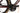 Orbea Orca Aero M10iLTD 2025 - Shimano Dura-Ace Di2 2x12sp - Oquo RP45Team