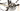 Trek Madone 5.5 2010 - Campagnolo Record - Bontrager Race