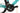 Bianchi Sprint 2024 - Shimano 105 - Aluminium