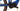 Focus JAM 2 9.8 Nine 2020 - Shimano XT - DT Swiss H1900 Hybrid