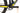 Scott Spark RC 900 Team Issue 2021 - SRAM X01 AXS 1x12sp - Syncros Silverton 2.0