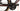 Orbea Orca Aero M20iLTD 2025 - Shimano Ultegra Di2 2x12sp - Zipp 353 NSW