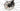 Scott Spark RC World Cup EVO TR 2025 - SRAM XX SL AXS 1x12sp - Syncros Silverton 1.0S
