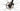 Cannondale Topstone Carbon 2 2021 - Shimano GRX - WTB KOM i23