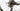 Giant TCX Advanced Pro 1 2019 - Sram Force - Giant CXR-1 WheelSystem