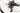 Giant TCX Advanced Pro 1 2019 - Sram Force - Giant CXR-1 WheelSystem